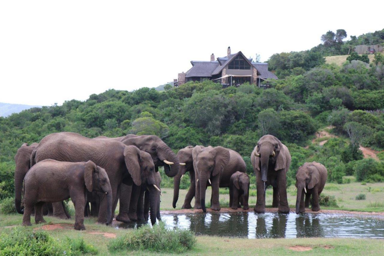 Hopewell Private Game Reserve Buyskloof Dış mekan fotoğraf