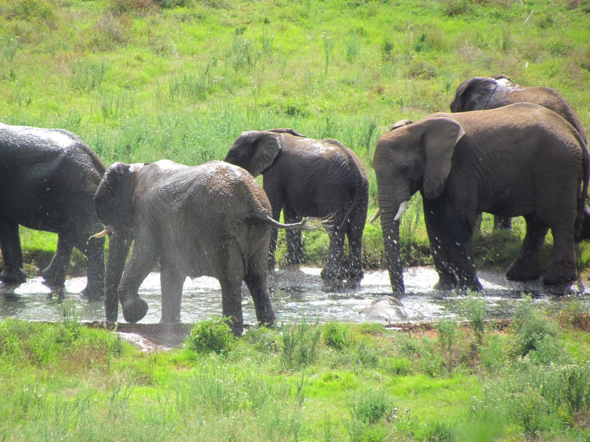 Hopewell Private Game Reserve Buyskloof Dış mekan fotoğraf