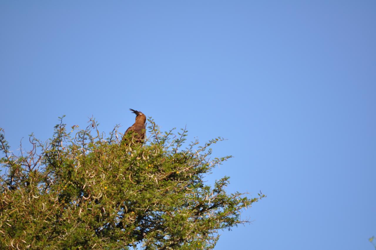 Hopewell Private Game Reserve Buyskloof Dış mekan fotoğraf